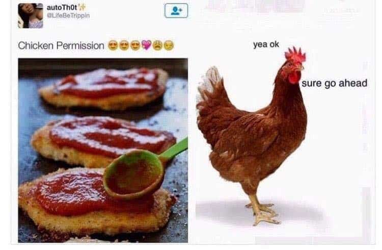 Ummm... You may want to rethink that, Mr. Chicken.